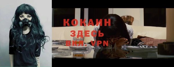 прущие крисы Киренск