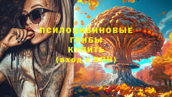 прущие крисы Киренск
