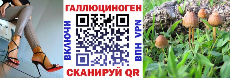 Псилоцибиновые грибы Magic Shrooms  blacksprut ONION  Красноперекопск 